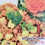 Best Kung Pao Chicken in Chicago, IL